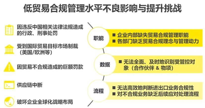 EY Tech Horizon 数字化出海：安永SAP GT